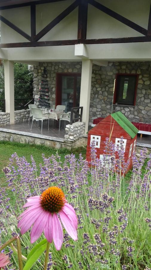 Chalet Mila Mavrovo Exteriör bild