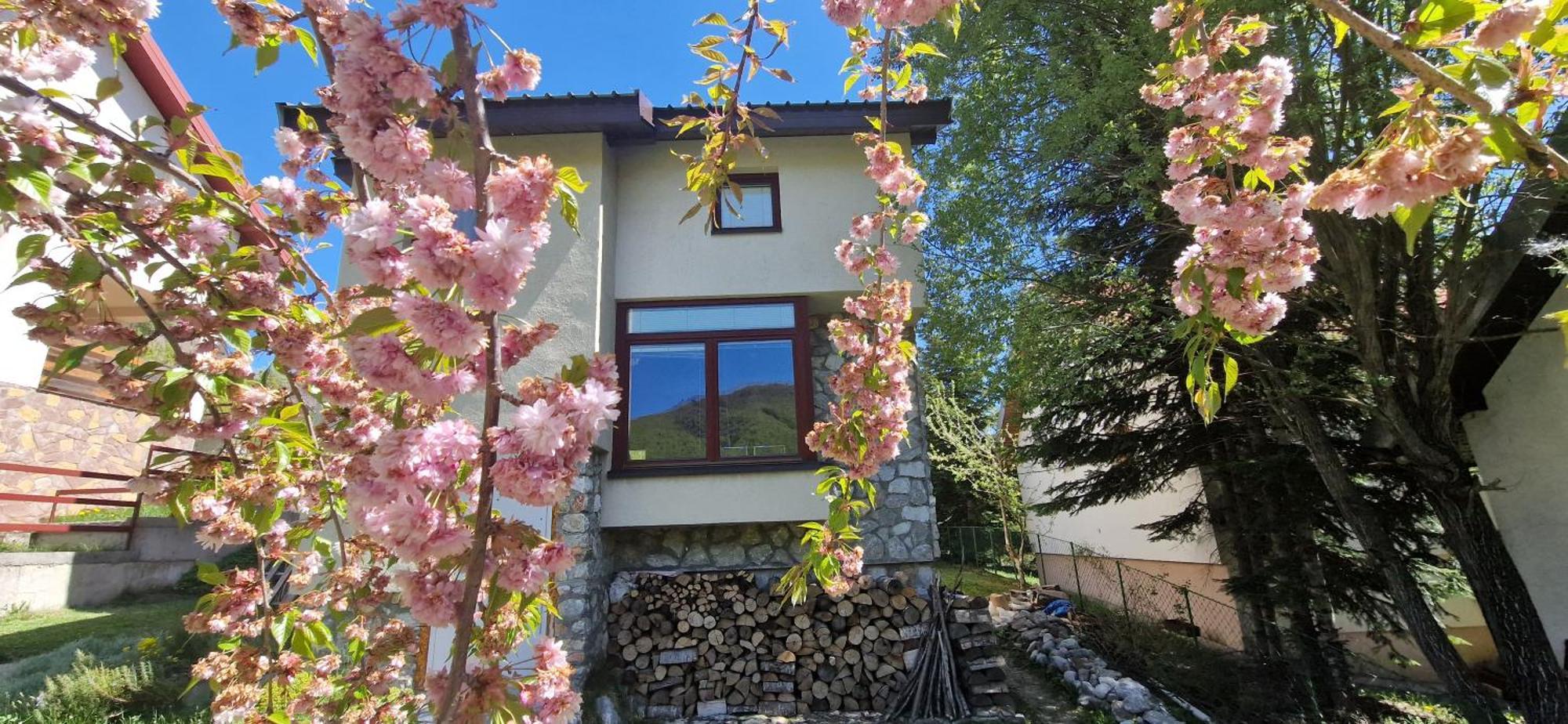 Chalet Mila Mavrovo Exteriör bild